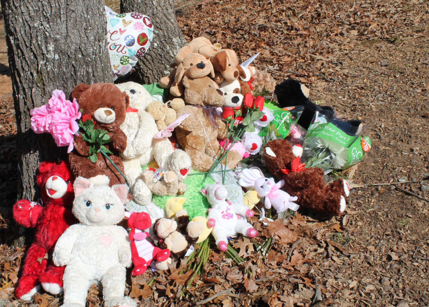 Community copes with tragic loss